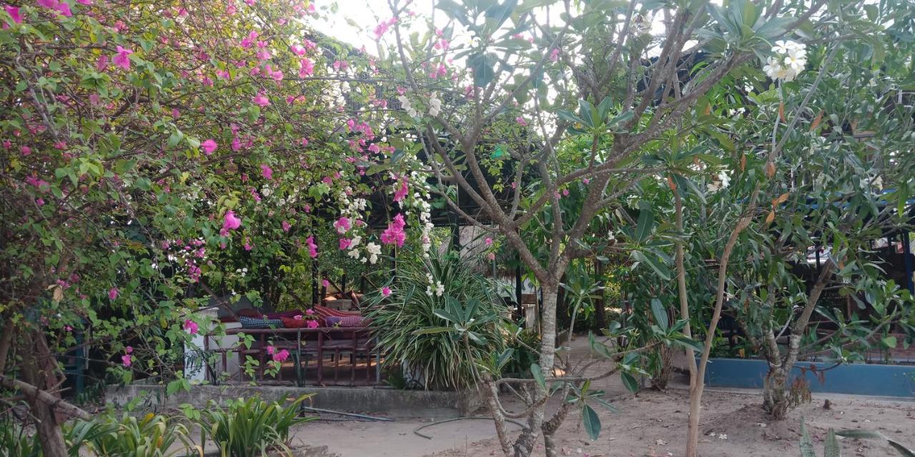 Banyan Tree Hostel Kampot Exterior foto