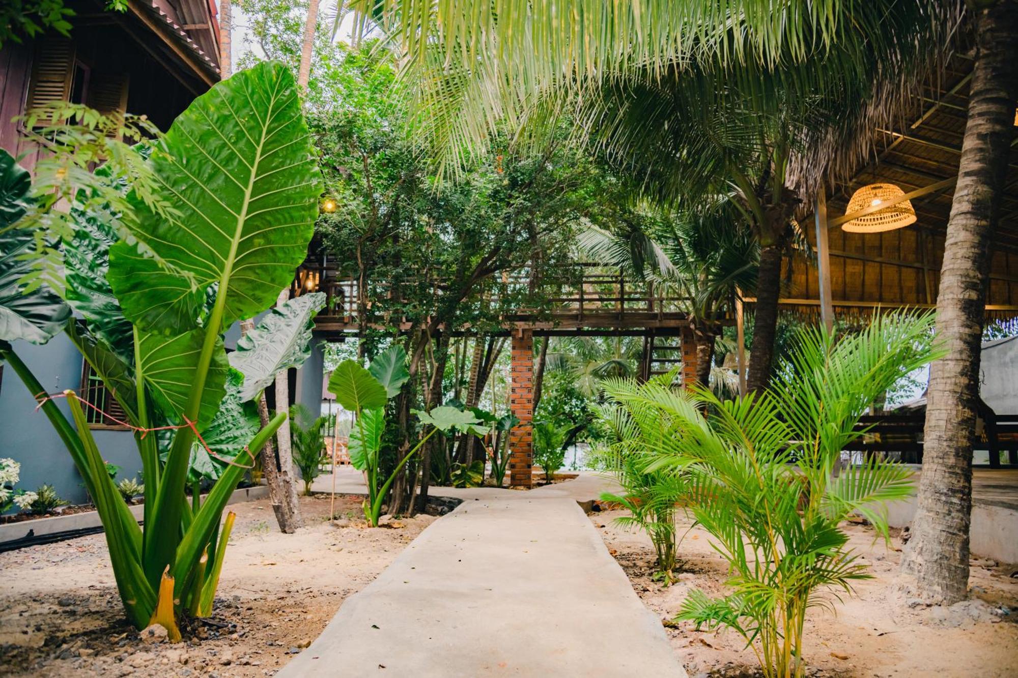 Banyan Tree Hostel Kampot Exterior foto